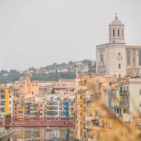 Flateli- Placa Catalunya 2-1 דירה